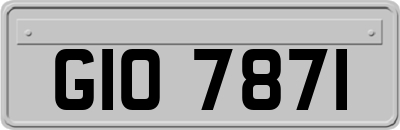 GIO7871