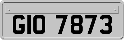 GIO7873