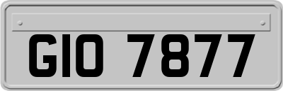 GIO7877