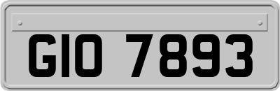 GIO7893