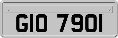 GIO7901