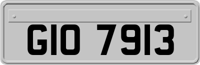 GIO7913