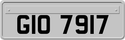 GIO7917
