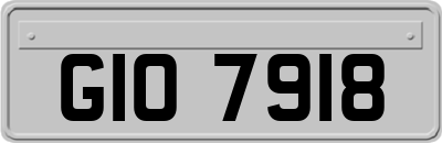 GIO7918