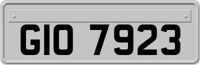 GIO7923