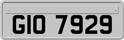 GIO7929