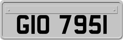 GIO7951