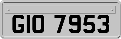 GIO7953