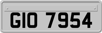 GIO7954