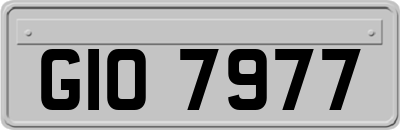 GIO7977