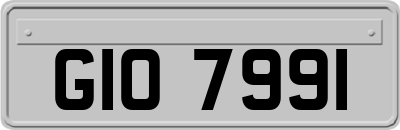 GIO7991