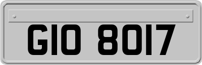 GIO8017