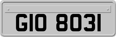 GIO8031