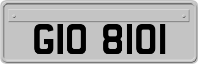 GIO8101
