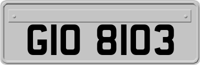 GIO8103