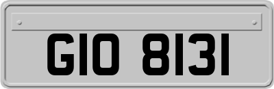 GIO8131
