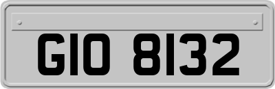 GIO8132