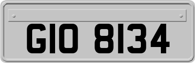 GIO8134