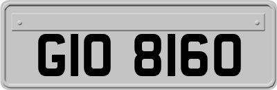 GIO8160