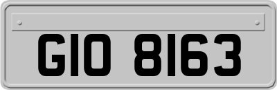 GIO8163