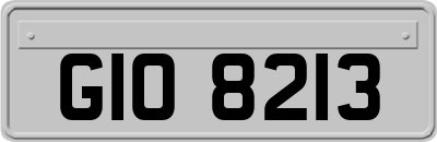 GIO8213