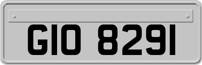 GIO8291