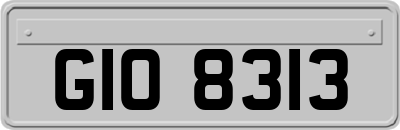 GIO8313