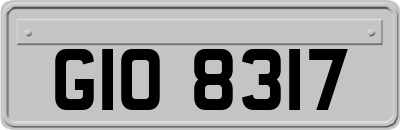 GIO8317