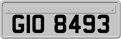 GIO8493