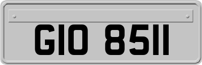 GIO8511