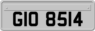 GIO8514