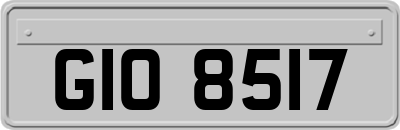 GIO8517