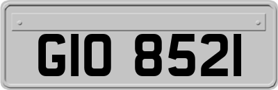 GIO8521