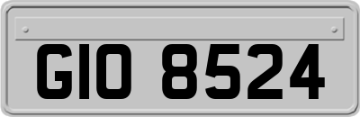 GIO8524