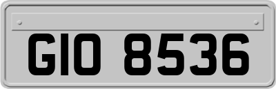 GIO8536