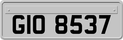 GIO8537