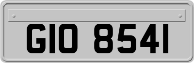 GIO8541