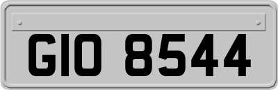 GIO8544