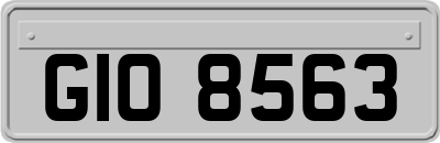 GIO8563