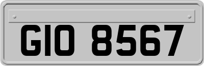 GIO8567
