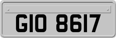 GIO8617