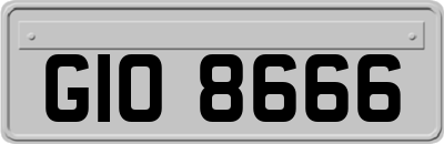 GIO8666
