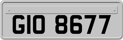 GIO8677