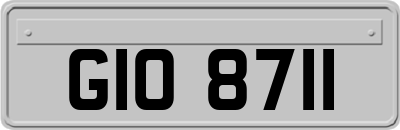 GIO8711