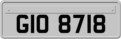 GIO8718