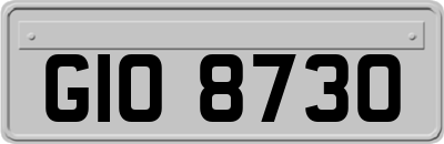 GIO8730
