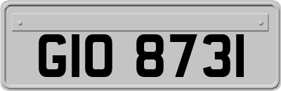 GIO8731