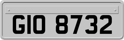 GIO8732