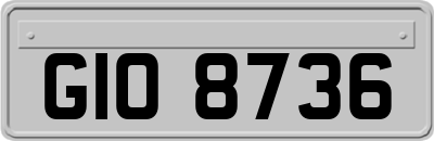 GIO8736