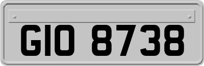 GIO8738